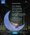 Orchestra E Coro Del Teatro Lirico Di Cagliari - La Bella Dormente Nel Bosco [Blu-Ray] (Blu-ray)