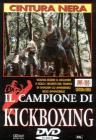 Il Campione Di Kickboxing