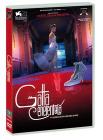 Gatta Cenerentola