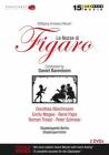 Wolfgang Amadeus Mozart. Le nozze di Figaro (2 Dvd)