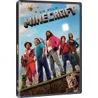 Un Film Minecraft