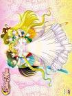 Sailor Moon. Box 3 (4 Dvd)