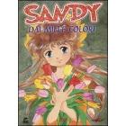 Sandy dai mille colori (5 Dvd)