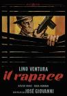 Il Rapace
