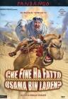 Che fine ha fatto Osama Bin Laden?
