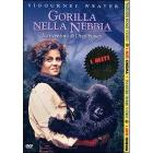 Gorilla nella nebbia