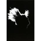 M - Bercy 17.12.2010 M - Bercy 17.12.2010