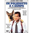 Poliziotto a quattro zampe