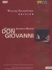 Wolfgang Amadeus Mozart. Don Giovanni (2 Dvd)