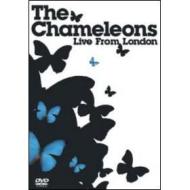 The Chameleons. Live From London