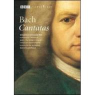Johann Sebastian Bach. Cantatas Bwv113/179/199