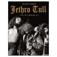 Jethro Tull. Velvet Green: Live in London 1977