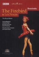 Igor Stravinsky - Firebird & Les Noces