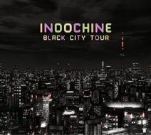 Indochine - Indochine Live 2014 (2 Dvd)