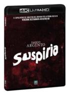 Suspiria (Blu-Ray 4K Hd) (Blu-ray)