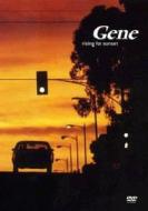 Gene. Rising for Sunset