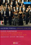 Salzburg Opening Concert 2010