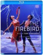 Igor Stravinsky. The Firebird. L'uccello di fuoco (Blu-ray)