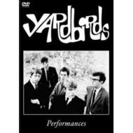 Yardbirds. Performances
