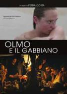 Olmo E Il Gabbiano