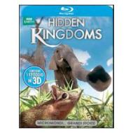 Hidden Kingdoms. Micromondi (Blu-ray)