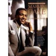 Marvin Gaye. Searching Soul. The Complete Collection