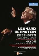 Leonard Bernstein conducts Beethoven & Haydn