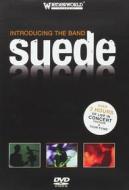 Suede. Introducing the Band