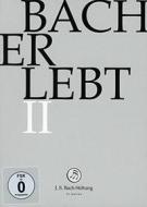 Johann Sebastian Bach  - Bach Erlebt II (11 Dvd) (11 Dvd)