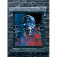 Iron Maiden. Visions of the Beast. The Complete Video History (2 Dvd)