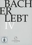 Johann Sebastian Bach  - Johann Sebastian Bach  Er Lebt Iv (11 Dvd)