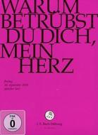 Johann Sebastian Bach  - Warum Betruebst Du Dich Mein