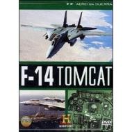 Aerei da guerra. F-14 Tomcat