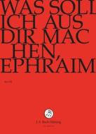 Johann Sebastian Bach  - Was Soll Ich Aus Dir Machen