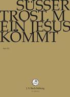 Johann Sebastian Bach  - Susser Trost, Mein Jesus Kommit