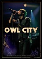 Owl City. Live From Los Angeles