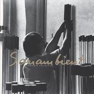 Harry Bertoia - Sonambient (3 Dvd)