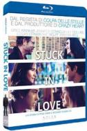 Stuck in Love (Blu-ray)