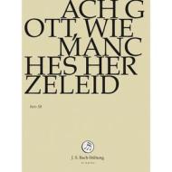 Johann Sebastian Bach  - Ach Gott, Wie Manches Herzeleid