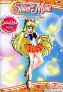 Sailor Moon. Vol. 9