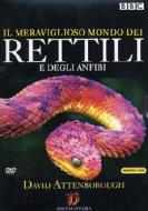 Il meraviglioso mondo di rettili e anfibi (3 Dvd)