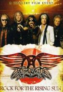 Aerosmith - Rock For The Rising Sun