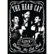 Head Cat - Rockin' The Cat Club