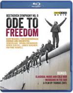 Ludwig Van Beethoven - Ode To Freedom - Sinfonia N.9 Corale - Masur Kurt Dir (Blu-ray)