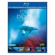 Magic of Big Blue 3D (Cofanetto blu-ray e dvd)