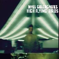 Noel Gallagher's High Flying Birds. International Magic Live At The O2 (2 Dvd)
