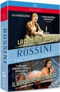 Gioacchino Rossini - Aschenputtel / Barbiere Di Siviglia (23 Dvd)