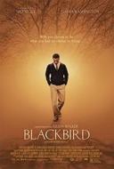 Blackbird - Blackbird (Blu-ray)