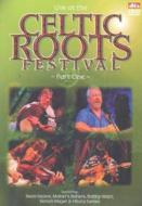 Live At The Celtic Roots Festival Part 1