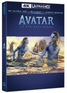 Avatar - La Via Dell'Acqua (4K Ultra Hd+Blu-Ray+Ocard) (3 Dvd)